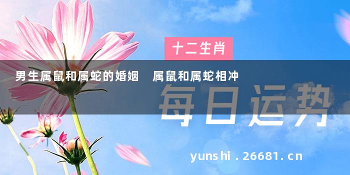 男生属鼠和属蛇的婚姻 属鼠和属蛇相冲